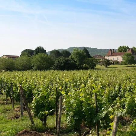 Chateau Gautoul 住宿加早餐酒店 Puy-lʼÉvêque